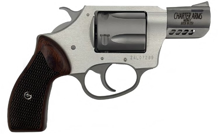 CHARTER ARMS COYOTE .380 ACP 5RD 2IN BARREL 2 MOON CLIPS INCLUDED SILVER 53802 - Win Repeating Arms Promotion